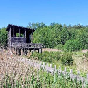 Wieża widokowa Granica - wieza widokowa granica2jpg