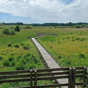 Wieża widokowa Granica - wieza widokowa granica3