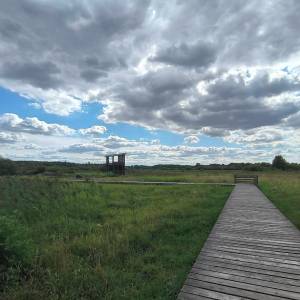 Wieża widokowa Granica - wieza widokowa granica4