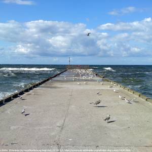 Molo w Niechorzu - molo w niechorzu 4