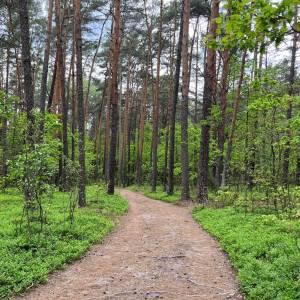 Ścieżka dydaktyczna „Do Karczmiska” - sciezka dydaktyczna do karczmiska3