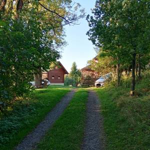 Dawne schronisko na Kozińcach - dawne schronisko na kozincach 2