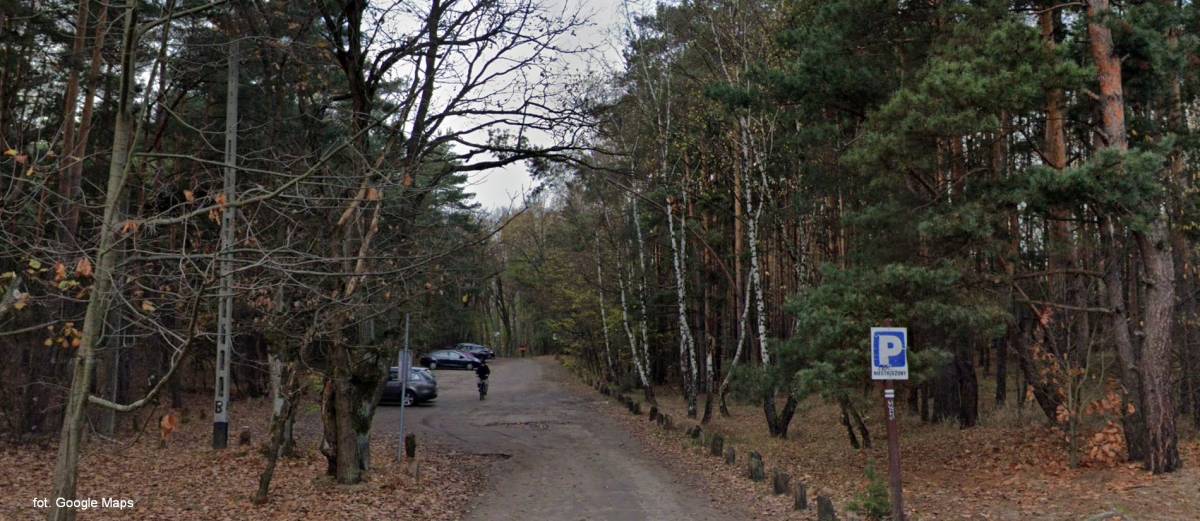 Parking Las Kampinoski - parking las kampinoski 1