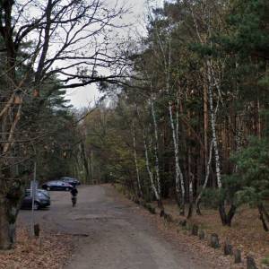 Parking Las Kampinoski - parking las kampinoski 1