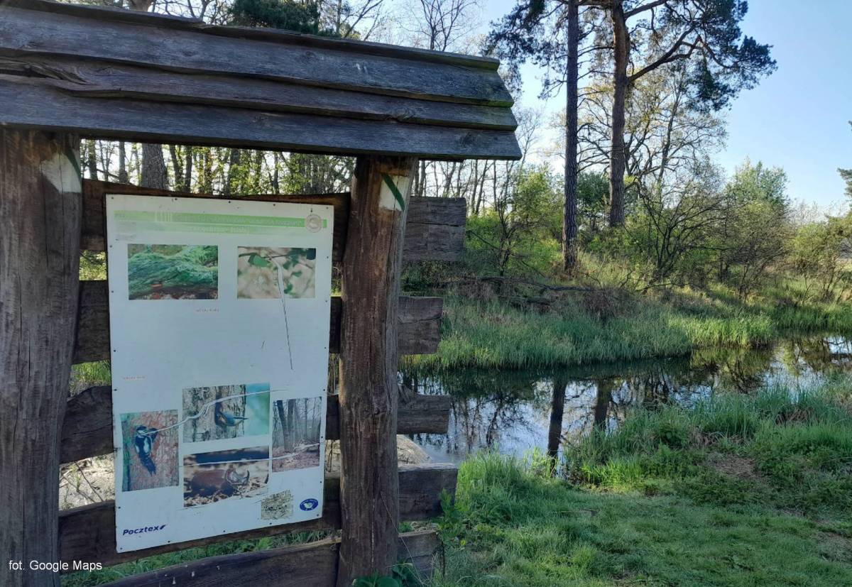 Ścieżka dydaktyczna "Dolinką Roztoki" - sciezka dydaktyczna dolinka roztoki 1