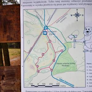 Ścieżka dydaktyczna "Dolinką Roztoki" - oos roztoka in kampinos national park 1