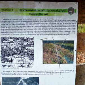 Ścieżka dydaktyczna "Dolinką Roztoki" - oos roztoka in kampinos national park 10