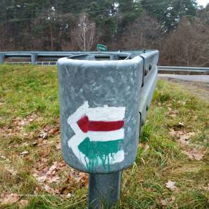 Ścieżka dydaktyczna "Dolinką Roztoki" - oos roztoka in kampinos national park 21