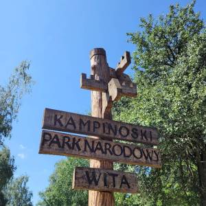 Parking Dąbrowa Leśna - parking dabrowa lesna1