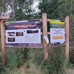 Parking Dąbrowa Leśna - parking dabrowa lesna2