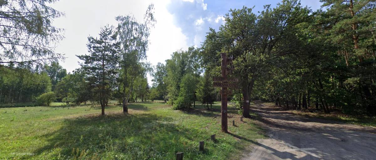 Polana Dąbrowa Leśna - polana dabrowa lesna1