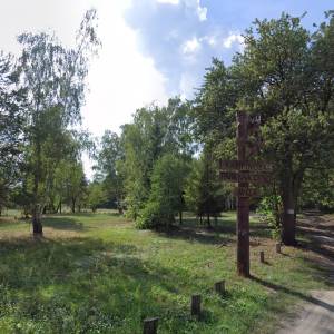 Polana Dąbrowa Leśna - polana dabrowa lesna1