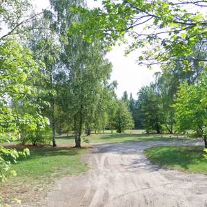 Polana Dąbrowa Leśna - polana dabrowa lesna2