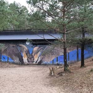 Łużowa Góra - luzowa gora1