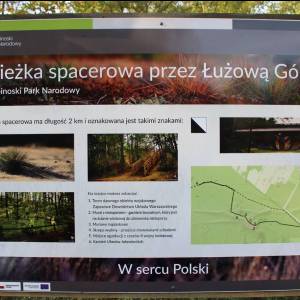 Łużowa Góra - luzowa gora2