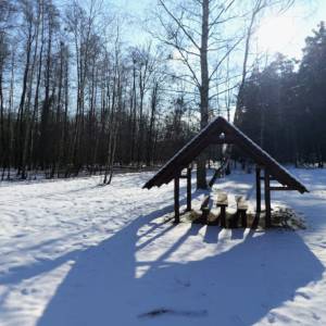 Polana Zielona Karczma - polana zielona karczma