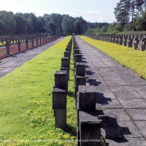 Ścieżka dydaktyczna "Wokół Palmir" - palmiry cemetery 07
