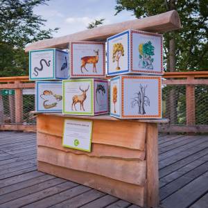 Wieża widokowa Skolnity w Wiśle - wieza widokowa skolnity w wisle 4