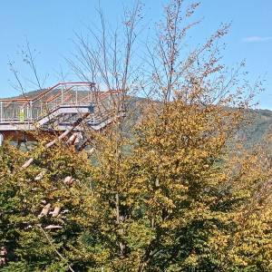 Wieża widokowa Skolnity w Wiśle - wieza widokowa skolnity w wisle 2