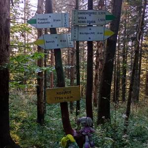 Kozińce (776 m n.p.m.) - kozince 776 m n p m 4
