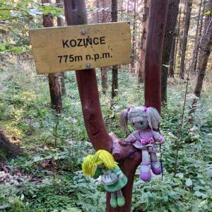 Kozińce (776 m n.p.m.) - kozince 776 m n p m 5