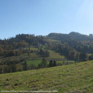 Kozińce (776 m n.p.m.) - wisla kozince