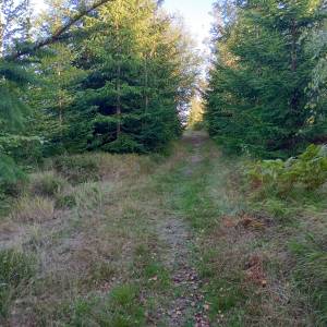 Głębiec (825 m n.p.m.) - glebiec 825 m n p m 1