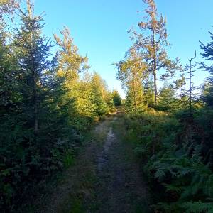 Głębiec (825 m n.p.m.) - glebiec 825 m n p m 3