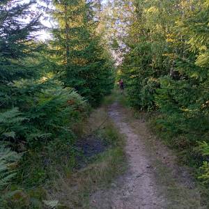 Głębiec (825 m n.p.m.) - glebiec 825 m n p m 5