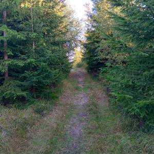 Głębiec (825 m n.p.m.) - glebiec 825 m n p m 6