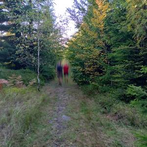 Głębiec (825 m n.p.m.) - glebiec 825 m n p m 7