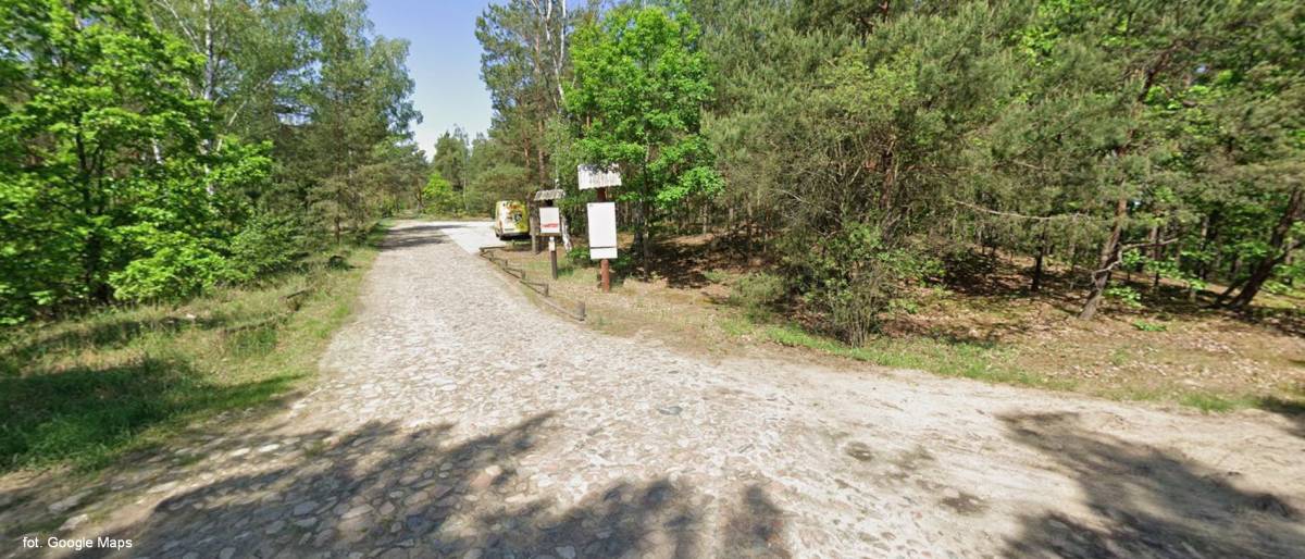 Parking Palmiry "mały" - parking palmiry maly