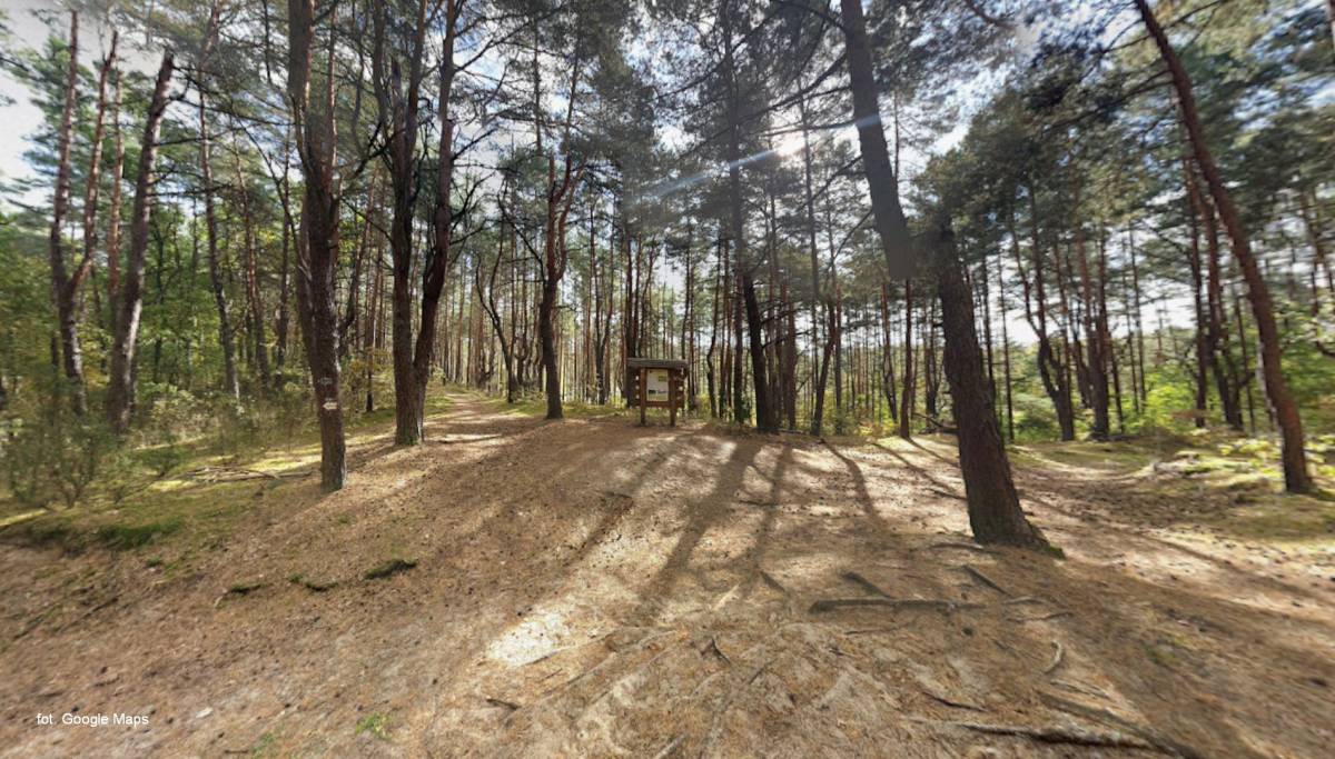 Ścieżka dydaktyczna "Wokół Bieli" - sciezka dydkatyczna wokol bieli2