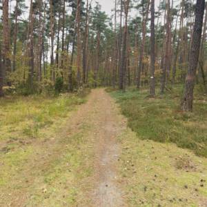 Ścieżka dydaktyczna "Wokół Bieli" - sciezka dydkatyczna wokol bieli3