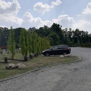 Ścieżka dydaktyczna "Do Lipkowskiej Wody" - polana w lipkowie4