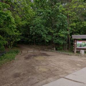 Ścieżka dydaktyczna "Do Lipkowskiej Wody" - sciezka dydaktyczna do lipkowskiej wody1