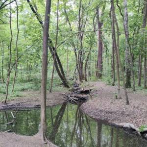 Ścieżka dydaktyczna "Do Lipkowskiej Wody" - sciezka dydaktyczna do lipkowskiej wody3