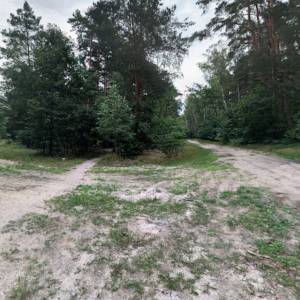 Ścieżka dydaktyczna "Do Starego Dębu" - sciezka dydaktyczna do starego debu1