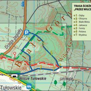 Ścieżka dydaktyczna "Przez Wilczą Górę" - sciezka dydaktyczna przez wilcza gore3
