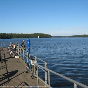 Jezioro Trzesiecko - jezioro trzesiecko 10