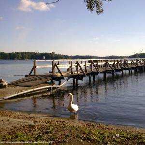 Jezioro Trzesiecko - jezioro trzesiecko 6
