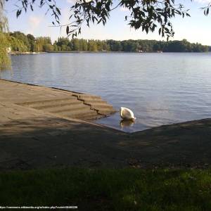 Jezioro Trzesiecko - jezioro trzesiecko 7