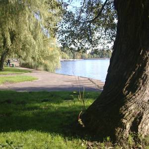Jezioro Trzesiecko - jezioro trzesiecko 9