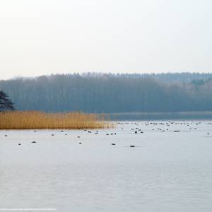 Jezioro Ińsko - insko 1