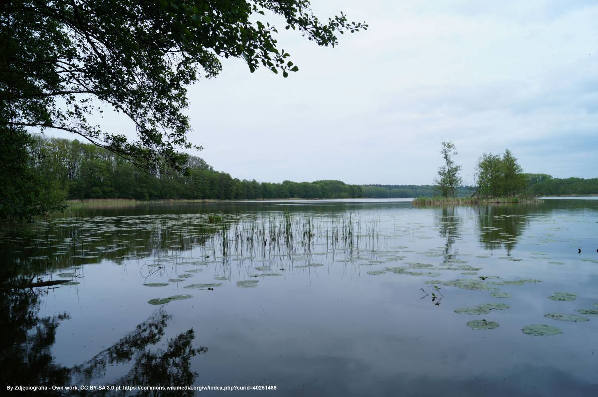 Iński Park Krajobrazowy - inski park krajobrazowy 6