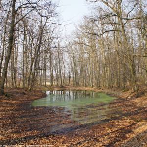 Iński Park Krajobrazowy - inski park krajobrazowy 1