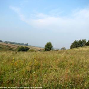 Iński Park Krajobrazowy - inski park krajobrazowy 10