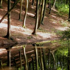 Łagowsko-Sulęciński Park Krajobrazowy - lagowsko sulecinski park krajobrazowy 14