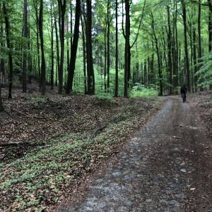 Łagowsko-Sulęciński Park Krajobrazowy - lagowsko sulecinski park krajobrazowy 2