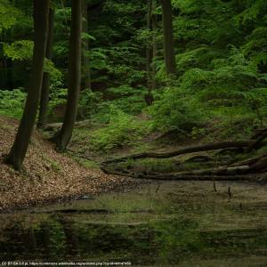 Łagowsko-Sulęciński Park Krajobrazowy - lagowsko sulecinski park krajobrazowy 3